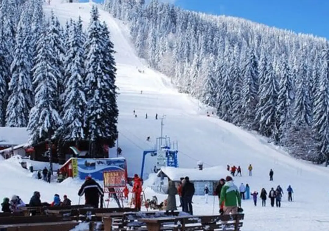 4`lü Kar Keyfi Abant Kartalkaya Kartepe Ormanya Uludağ Turu