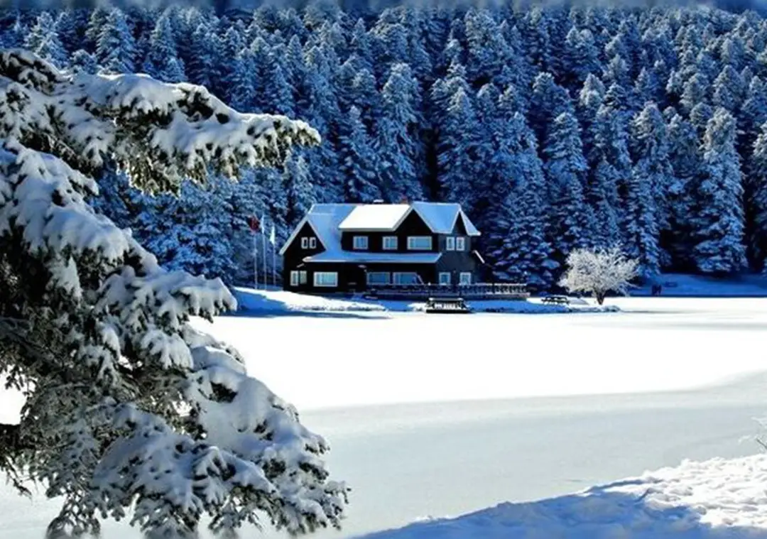 4`lü Kar Keyfi Abant Kartalkaya Kartepe Ormanya Uludağ Turu